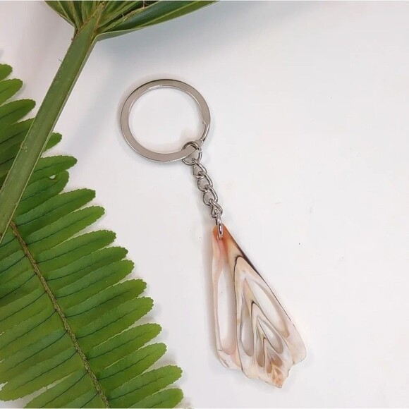 Seashell Keyring Slice Conch Seashell Clearwater Beach, Florida - Picture 10 of 11